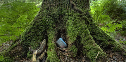 Igra potrage za blagom