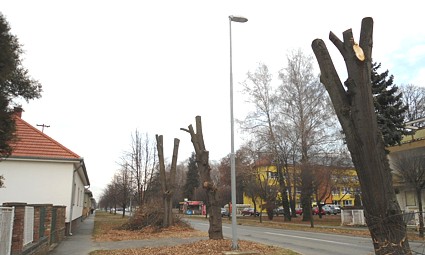 &Scaron;kolska ulica u Belom Manastiru