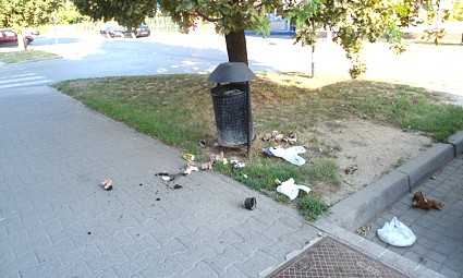 Rasuto smeće tik uz kantu