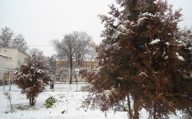 Snježna bašta u Betonskoj ulici