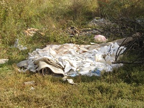 Naša ekološka (ne)svijest