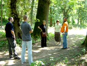 Krivaja kod Bačke Topole