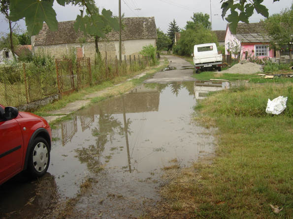 Bolman, Njegoševa ulica