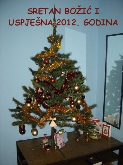 Sretan Božić i uspješna 2012. godina