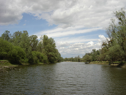 Jezero Sakadaš u Kopačkom ritu