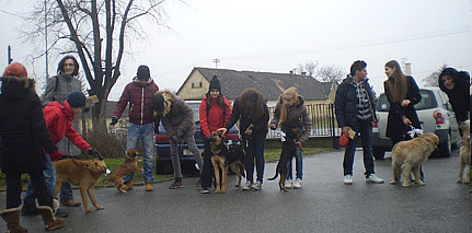 Veliki odaziv ljubitelja pasa