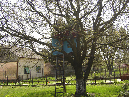 Belomanastirska kućica na drvetu
