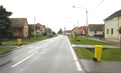 Petlovac, Ulica Rade Končara - zapad