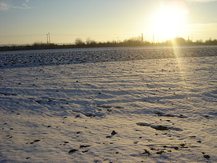 Baranjska zemlja pod suncem i snijegom...