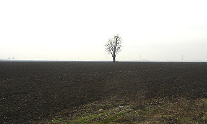 Gdje je ovo snimljeno?