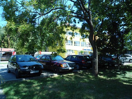 ... ali nam u jesen smeta kad opada li&scaron;će