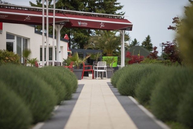 Kroz lavandu do 'Panona'