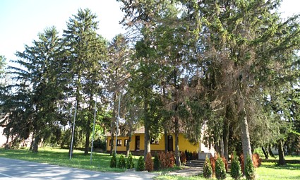 Park u centru Bolmana
